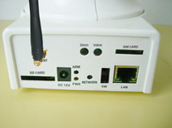 SA-1168-IPALM80 back view